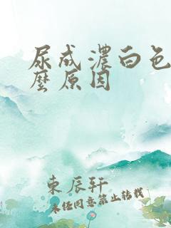 尿成浓白色是什么原因