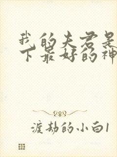 我的夫君是天底下最好的神医