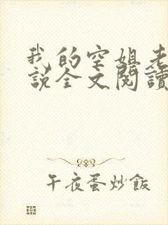 我的空姐老婆小说全文阅读