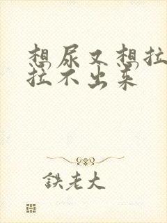 想尿又想拉屎又拉不出来