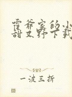 霍爷家的小祖宗甜又野下载