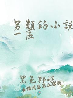 另类的小说激情一区