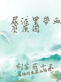 尿液里带血是什么原因