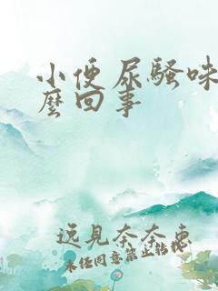 小便尿骚味重怎么回事