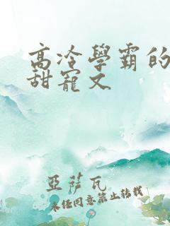 高冷学霸的校园甜宠文