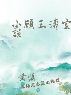 小顾王涛室友小说