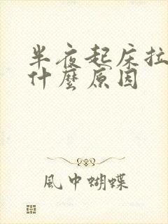 半夜起床拉尿是什么原因