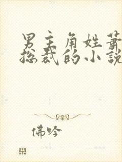 男主角姓萧是个总裁的小说