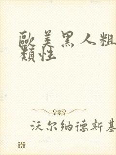 欧美黑人粗暴另类性