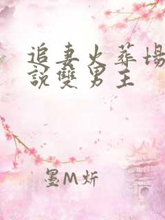 追妻火葬场的小说双男主