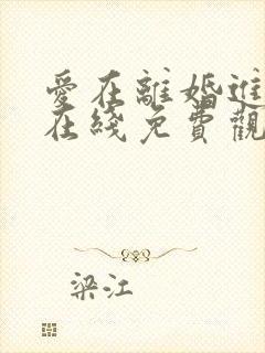 爱在离婚进行时在线免费观看完整版