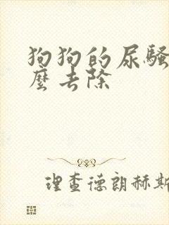 狗狗的尿骚味怎么去除