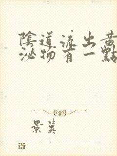 阴道流出黄色分泌物有一点腥味