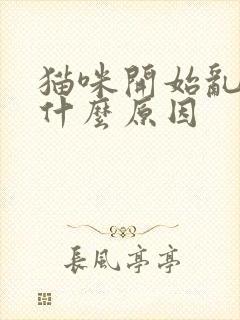 猫咪开始乱尿是什么原因