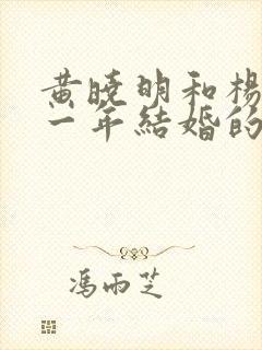 黄晓明和杨颖哪一年结婚的