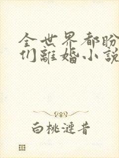 全世界都盼着我们离婚小说