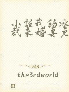 小说我的冰山总裁未婚妻免费阅读