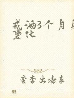 戒酒3个月身体变化