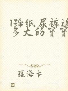 l号纸尿裤适合多大的宝宝