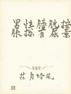 男性膀胱按压酸胀总有尿意