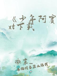 《少年阿宾》txt下载