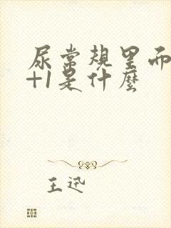 尿常规里面潜血+1是什么