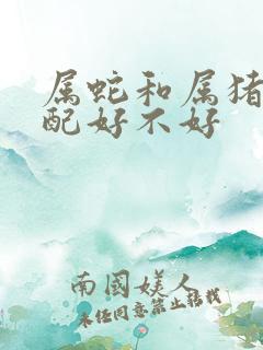 属蛇和属猪的婚配好不好