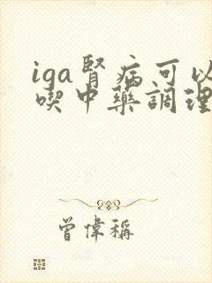 iga肾病可以吃中药调理吗