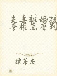 夫妻离婚孩子抚养权怎么判定