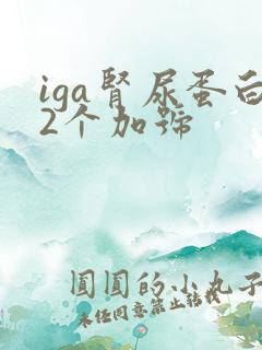 iga肾尿蛋白2个加号