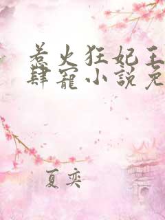 惹火狂妃王爷放肆宠小说免费阅读