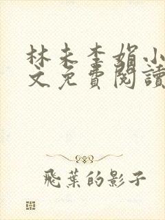 林未李娟小说全文免费阅读