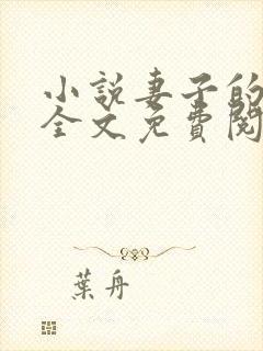 小说妻子的秘密全文免费阅读全文