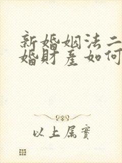 新婚姻法二婚离婚财产如何分割