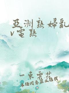 亚洲熟妇乱子av电熟