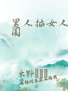 男人插女人动态图