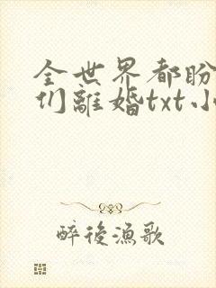 全世界都盼着我们离婚txt小说下载