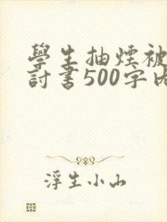 学生抽烟被抓检讨书500字内容