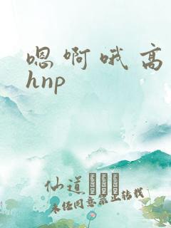 嗯 啊 哦 高hnp