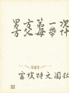 男方第一次见女方父母带什么礼物