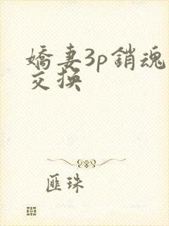 娇妻3p销魂的交换