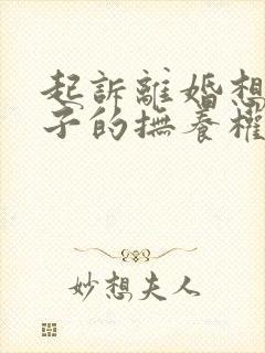 起诉离婚想要孩子的抚养权