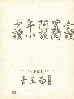 少年阿宾全文阅读小说阅读目录