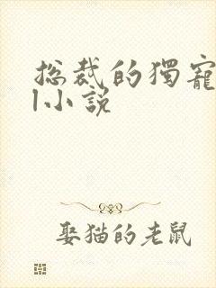 总裁的独宠甜妻l小说