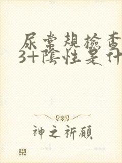 尿常规检查隐血3+阴性是什么意思