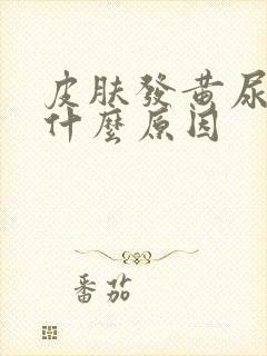 皮肤发黄尿黄是什么原因