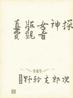真版女神探侦免费观看