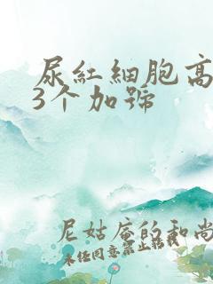 尿红细胞高潜血3个加号