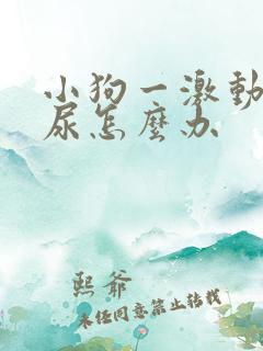 小狗一激动就漏尿怎么办