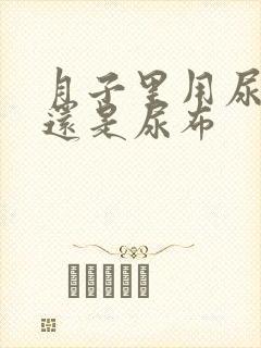 月子里用尿不湿还是尿布